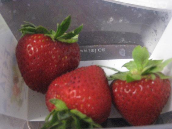 Big, Fat Strawberries