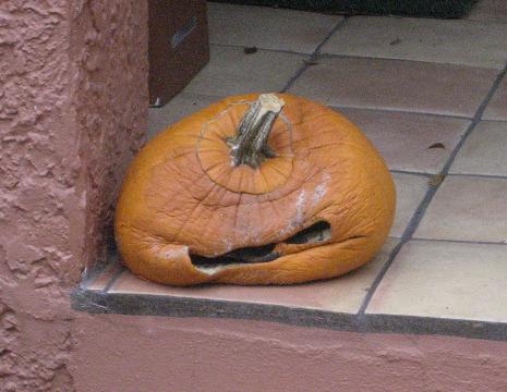 Sorry Lil' Pumpkin