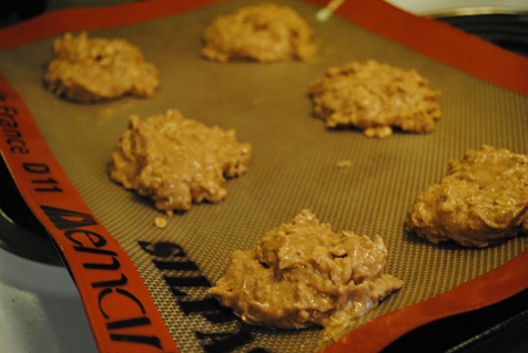 giant oatmeal cookies 005